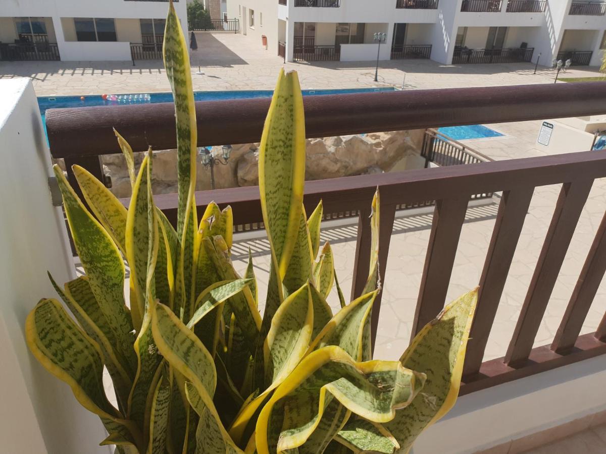 Stunning Apartment C106 With Balcony Looking Over Pool Peyia Exterior foto